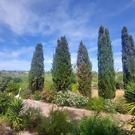 Maison d'hôtes Il Verdone Usini
