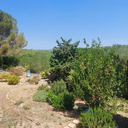 Il Verdone Pensión 3*