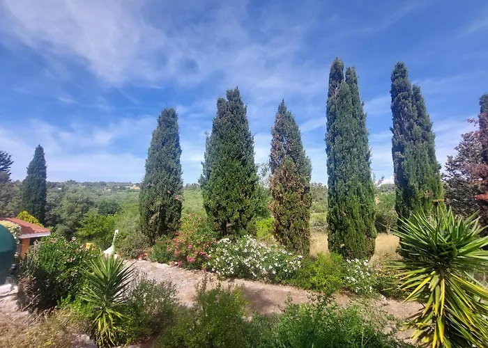 Pensjonat Il Verdone Usini