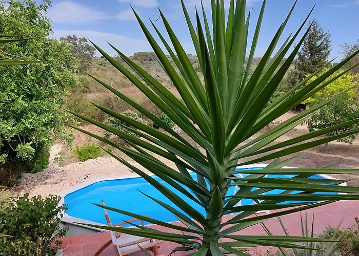 Guest house Il Verdone Usini