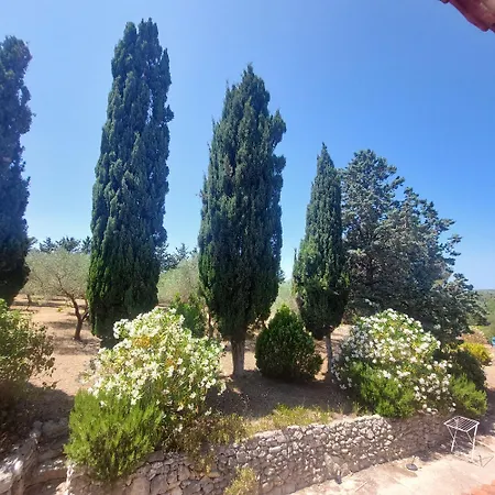 Il Verdone Penzion Usini